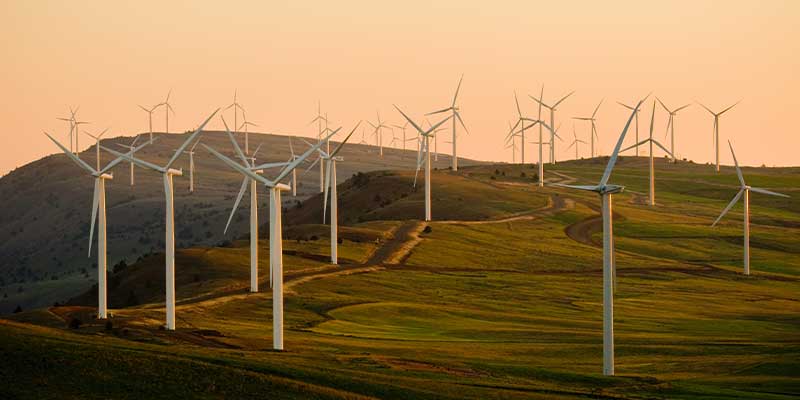 Ethical and sustainable investments